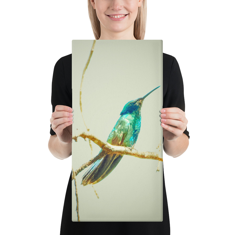 Colibrí del Perú | Fotografía de Naturaleza y Vida Silvestre Peruana - Image 4