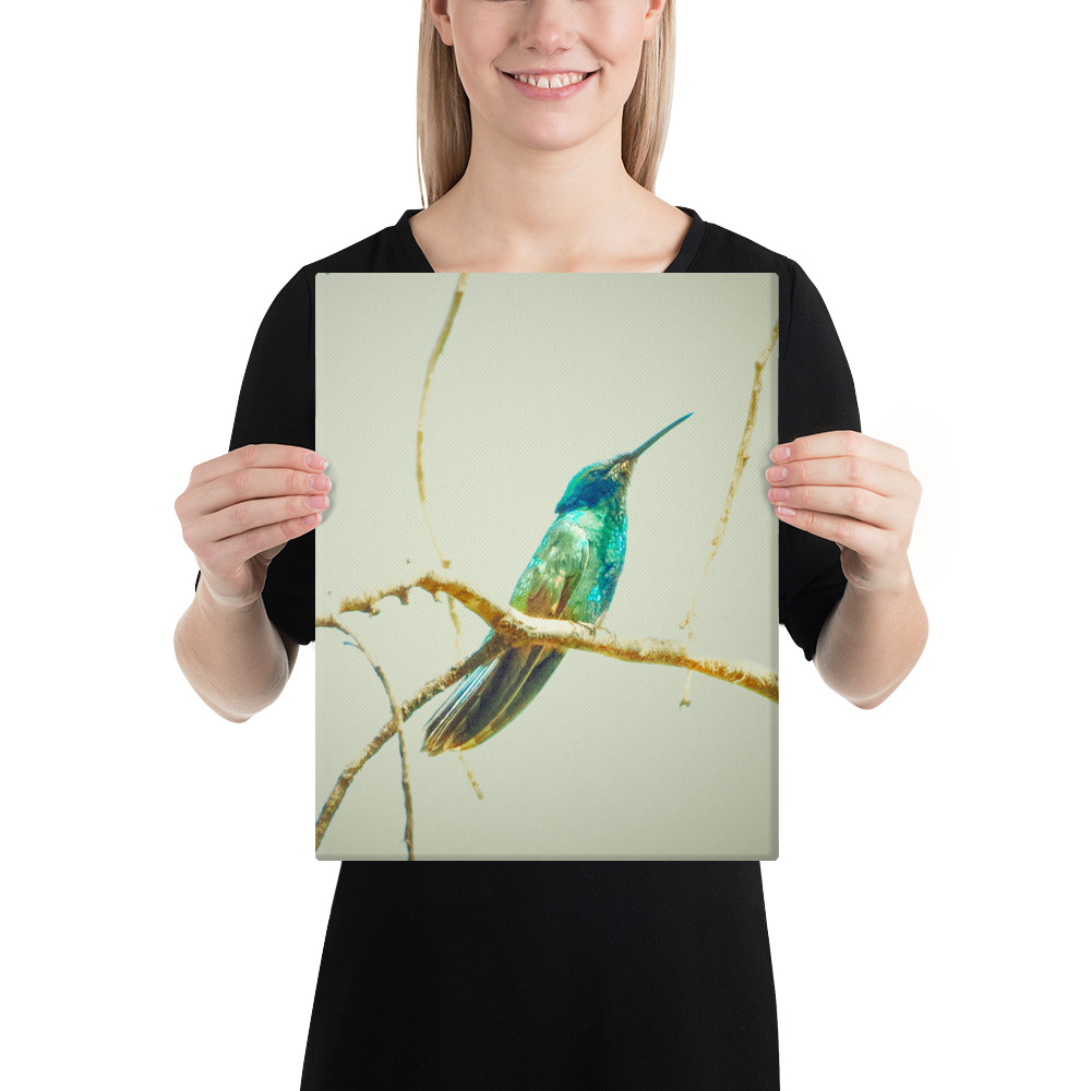 Colibrí del Perú | Fotografía de Naturaleza y Vida Silvestre Peruana - Image 5