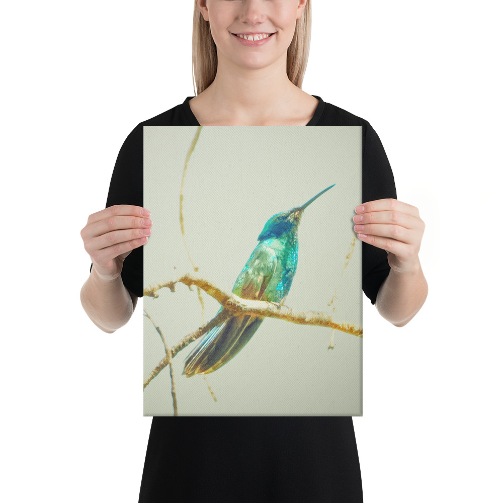 Colibrí del Perú | Fotografía de Naturaleza y Vida Silvestre Peruana - Image 6