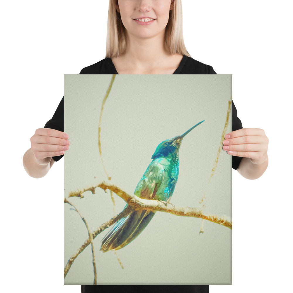 Colibrí del Perú | Fotografía de Naturaleza y Vida Silvestre Peruana - Image 7