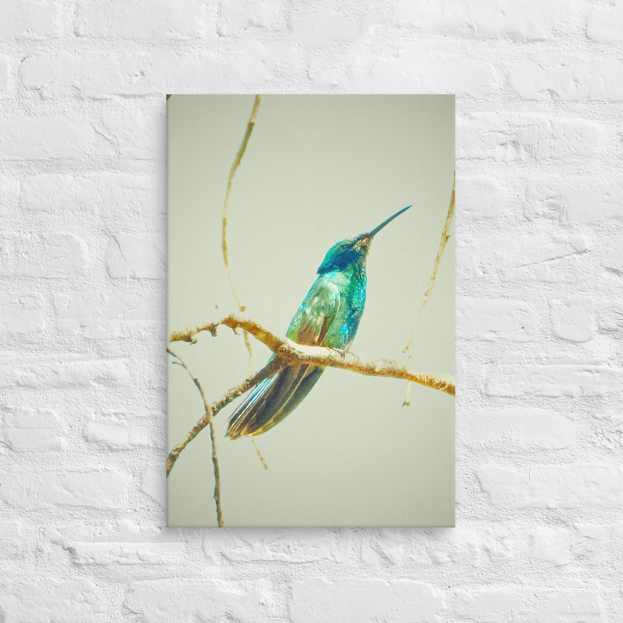 Colibrí del Perú | Fotografía de Naturaleza y Vida Silvestre Peruana - Image 11