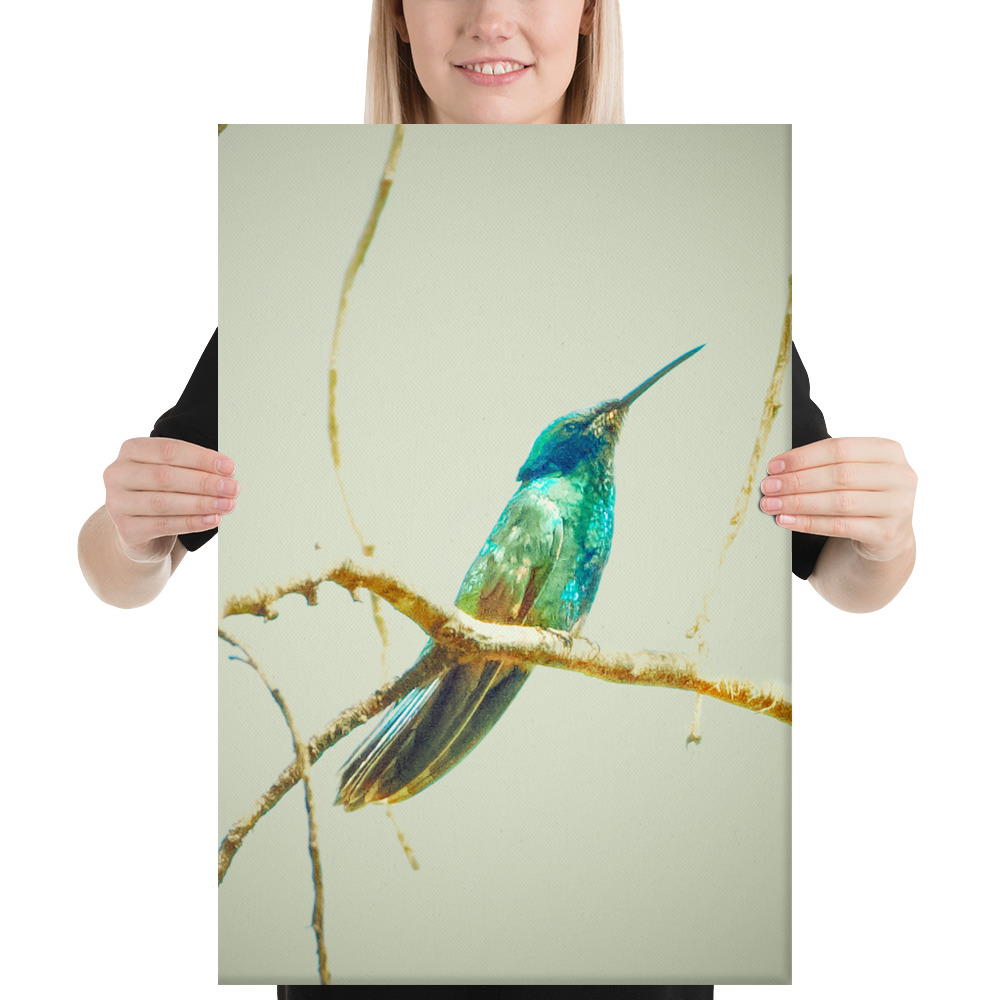 Colibrí del Perú | Fotografía de Naturaleza y Vida Silvestre Peruana - Image 8