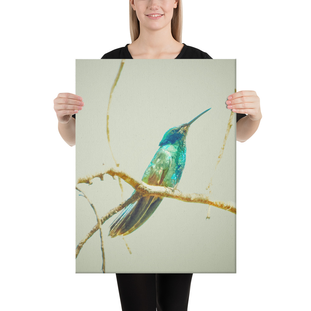 Colibrí del Perú | Fotografía de Naturaleza y Vida Silvestre Peruana - Image 9