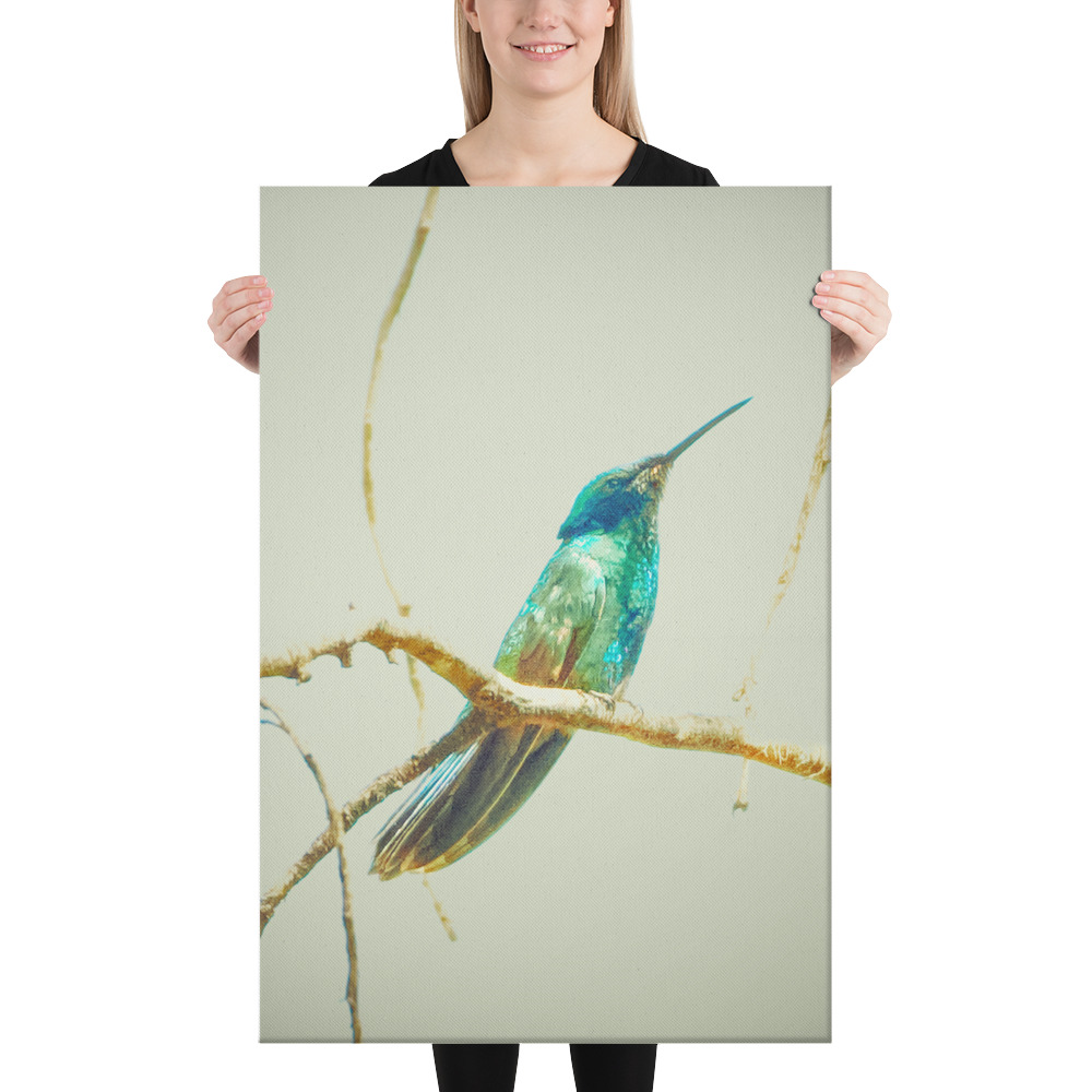 Colibrí del Perú | Fotografía de Naturaleza y Vida Silvestre Peruana - Image 10